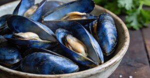 Are mussels good for you? Discover the health benefits of shellfish