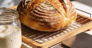 Easy sourdough bread recipes: The perfect guide for beginner sourdough