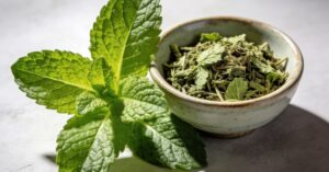 Mint plants benefits: A complete guide to the health benefits of mint leaves