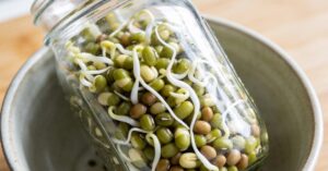 How to sprout beans for cooking: A Guide to Mung Beans and Lentils