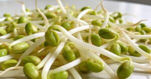 Bean sprouts nutrition: Unlocking the health benefits of fresh mung sprouts
