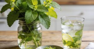 Lemon balm recipes: How to make tea, syrup, and refreshing lemonade
