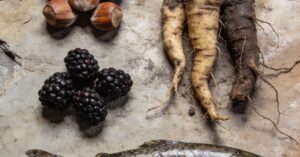 Stone age foods: A guide to the Paleolithic diet for modern health